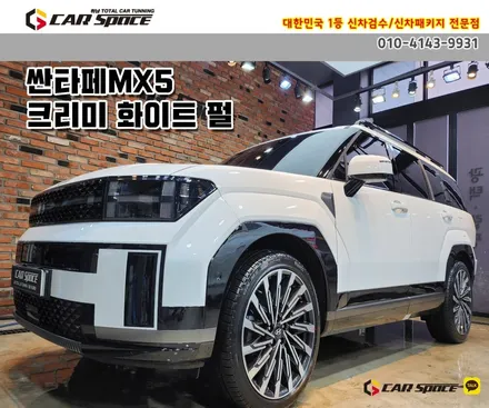 [싼타페MX5 신차패키지] 버텍스900+700썬팅과 가죽코팅 / 하남시 망월동