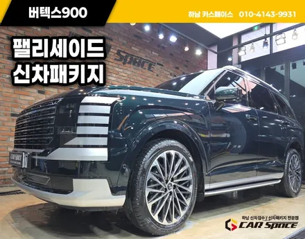 하남 신차패키지 팰리세이드 버텍스 900 50 30 농도 비교 / 하남시 망월동