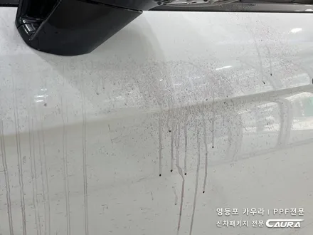 포르쉐 파나메라 대표가 직접 시공하는 오너프로 프론트 PPF 영등포 카우라 영등포브이쿨양평1호점 솔라가드영등포 목동브이쿨 여의도 하버캠프영등포목동 영등포카고 여의도ppf / 서울 영등포구 양평동5가