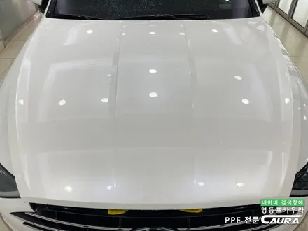 본넷 PPF 저가 시공하지 마세요 본넷 PPF 딜러표제거 생활보호 본넷ppf 제거 후 재시공! 카우라 브이쿨 영등포 솔라가드 영등포 여의도ppf 목동ppf 용산ppf 당산ppf / 서울 영등포구 양평동5가