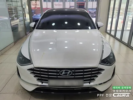 본넷 PPF 저가 시공하지 마세요 본넷 PPF 딜러표제거 생활보호 본넷ppf 제거 후 재시공! 카우라 브이쿨 영등포 솔라가드 영등포 여의도ppf 목동ppf 용산ppf 당산ppf / 서울 영등포구 양평동5가