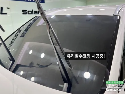 팰리세이드 크리미화이트펄 신차검수 하버캠프 세라믹본드 20% 신차패키지 생활보호 ppf 영등포 카우라 후기 영등포 PPF 여의도 PPF 팰리세이드성지 동호회성지 / 서울 영등포구 양평동5가
