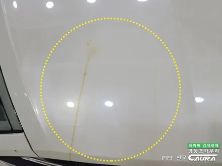 본넷 PPF 저가 시공하지 마세요 본넷 PPF 딜러표제거 생활보호 본넷ppf 제거 후 재시공! 카우라 브이쿨 영등포 솔라가드 영등포 여의도ppf 목동ppf 용산ppf 당산ppf / 서울 영등포구 양평동5가