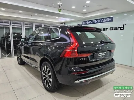 볼보 XC 60 역대급 검수 실제 상황 패밀리카 썬팅은 최상급 세라믹본드로 선택 /  목동 썬팅 잘하는곳 / 서울 영등포구 양평동5가
