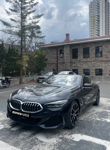 BMW8시리즈 전체 블랙PPF시공 / 성남 판교 분당구