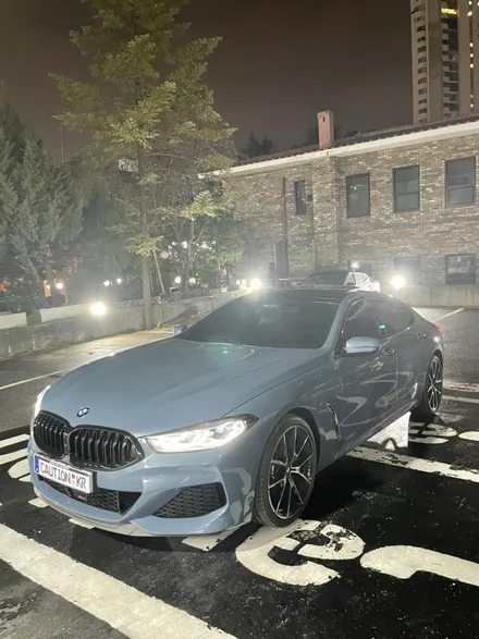 BMW 8시리즈 탑폴리에 크롬죽이기 시공 / 성남 판교 분당구