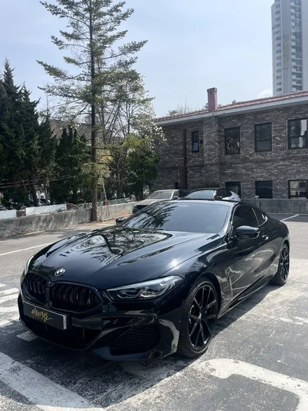 BMW8시리즈 전체 블랙PPF시공 / 성남 판교 분당구