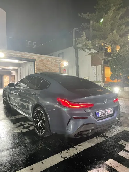 BMW 8시리즈 탑폴리에 크롬죽이기 시공 / 성남 판교 분당구