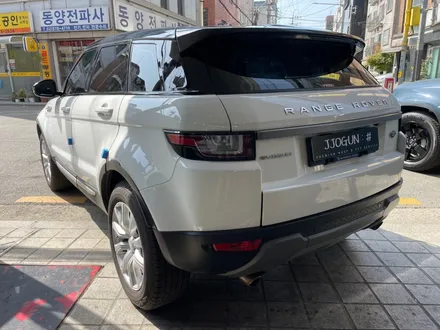 레인지로버 이보크 루프 스킨 및 사이드미러 상단 랩핑으로 투톤 연출 가능 / 서초, 강남, 양재