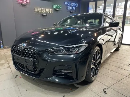 BMW 420 i 그릴 크롬 딜리트(크롬 죽이기) 부분 랩핑 / 서초, 강남, 양재