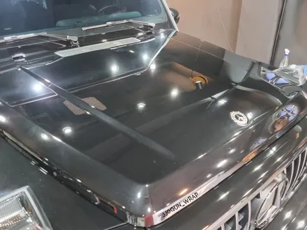 강남. 양재동. 과천_지바겐 맛집 쪼군샵 [ 벤츠 지바겐 G63 AMG ] 윈드 실드 전체 PPF 시공하기 / 서초, 강남, 양재