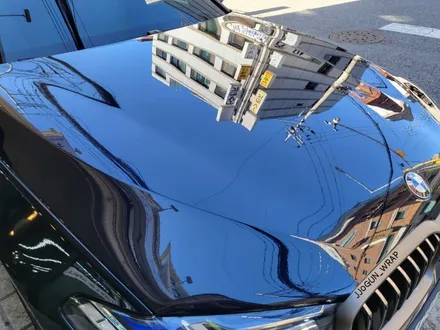 BMW M 550i 부분 PPF 시공만으로 도장면 보호 탁월!! , 자동차 드레스 업 전문 쪼군샵 / 서초, 강남, 양재