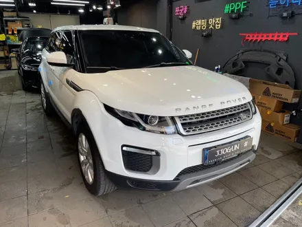 레인지로버 이보크 루프 스킨 및 사이드미러 상단 랩핑으로 투톤 연출 가능 / 서초, 강남, 양재