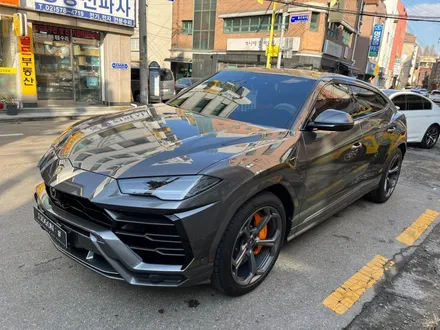 람보르기니 우루스 전체 PPF는 이렇게, 스톤칩 걱정 끝!!! / 서초, 강남, 양재