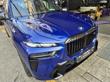 강남 양재동, 자동차 도장 보호 BMW X7, 프론트 패키지 생활 보호 PPF 5종 / 강남구 역삼동