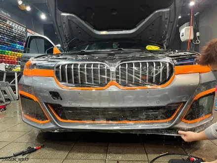 신 차 모습 그대로 도장 보호!! BMW 530e 전체 PPF 강남 양재동 자동차 드레스 업 전문 쪼군샵 / 서초, 강남, 양재