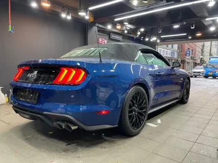 품격있는 머스탱 GT, 에이버리 사틴 블랙 전체 랩핑 시공!! / 서초, 강남, 양재