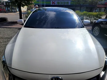 기아 k5 전면썬팅필름에서 가루가나온다? 오랜된필름제거후 애니가드 반사썬팅 전체시공하기!!! / 청주, 세종, 천안
