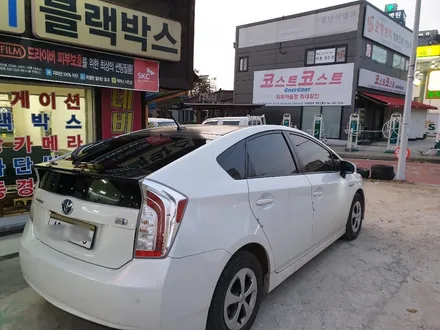 도요타 프리우스 SKC 열차단 틴팅 필름으로 내차의 프라이버시를~ / 청주, 세종, 천안