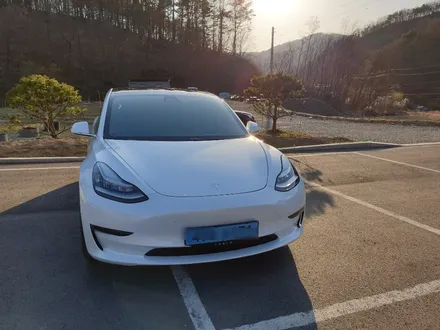 청주 테슬라 모델3  열차단썬팅  애니가드 반사필름  자율주행 테슬라 열선썬팅  영운동 카스톨  청주테슬라전문 / 청주, 세종, 천안