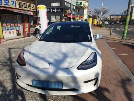 청주 테슬라 모델3  열차단썬팅  애니가드 반사필름  자율주행 테슬라 열선썬팅  영운동 카스톨  청주테슬라전문 / 청주, 세종, 천안
