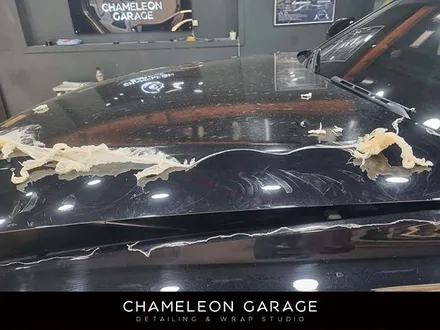 [Audi Q8 PPF 재시공] 프런트 패키지 ppf, 본넷ppf, 휀다ppf,노원,중계,하계,의정부,양주 ppf / 서울 노원구