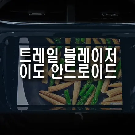트레일블레이저 자동차에 안드로이드 올인원 네비 AHD 고화질 후방카메라 매립 / 부산 금정구 부곡동