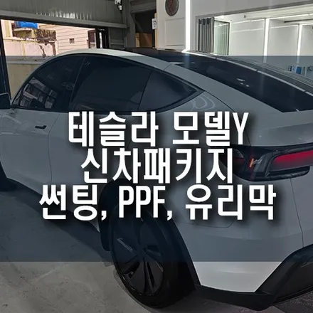 부산 테슬라 모델Y 신차패키지[ 레이노 F95 썬팅, PPF, 유리막 코팅, 향균탈취까지 한 번에!] / 부산 금정구 부곡동