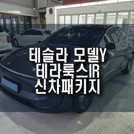테슬라 모델Y 신차, 검수, 테라룩스 IR 썬팅, PPF, 코팅 풀 케어 작업기 / 부산 금정구 부곡동