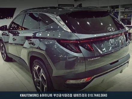부산 투싼NX4 루마 버텍스 900 700 조합 썬팅 시공 후기 / 부산 금정구 부곡동