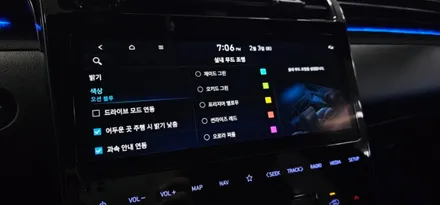 대구 투싼NX4 엠비언트 실내내부조명 추가 시공 / 현대 / 투싼 (NX4) / 대구시 동구