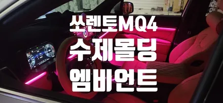 쏘렌토MQ4 엠비언트가 수제몰딩으로 했을뿐인데 이렇게 바뀐다고? / 대구,구미