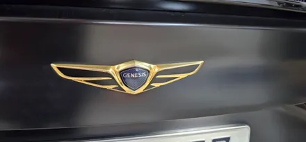 제네시스 G80(DH) 랩핑(루프스킨) 하고나서 관리못하믄 요래됩니데이~~ / 대구,구미