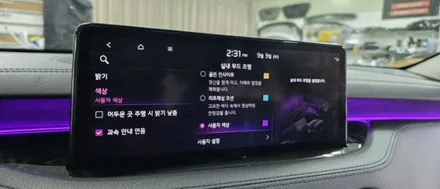 스팅어 마이스터 엠비언트, 크롬죽이기, 컬러안전벨트 까지... / 대구,구미