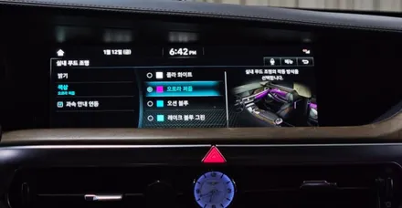 제네시스 G90,EQ900 엠비언트 불이 안들어와요 / 제네시스 / EQ900 / 대구시 동구