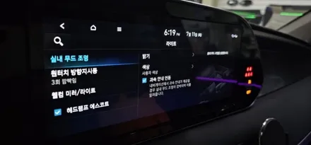 팰리세이드 엠비언트 아직도 고민하고 계신가요? 비노출 시공이 되요~ / 대구,구미