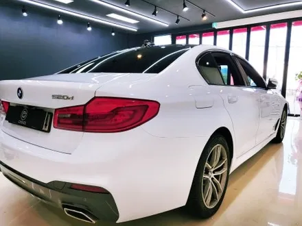 [bmw 520d] 김해 초이스랩 보험처리 및 전체 랩핑 제거 후 전체 고광택 화이트 랩핑 시공 / 김해시 진영읍