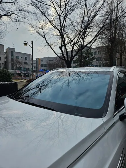안산 GV80 블락포디 스카이블루 썬팅 + 순정 사이드스텝 장착 / 안산시 단원구 고잔동