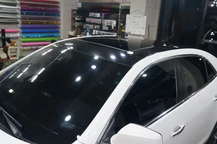 안산루프스킨 말리부 꾸미기 / 안산시 단원구 고잔동