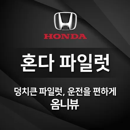 파일럿 어라운드뷰, 커튼(썬섀이드), 락폴딩, 스플레시가드(머드가드) - 덩치큰 파일럿의 주차를 편리하게
