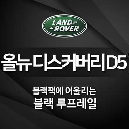 올뉴디스커버리D5 블랙팩에 어울리는 블랙 루프레일로 변신.