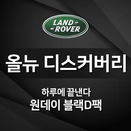 올뉴디스커버리, 원데이 블랙D팩 휠도색 없이 하루에 끝낸다