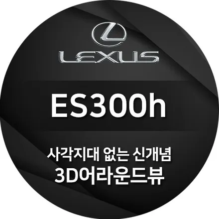 2019 렉서스 ES300h 3D 어라운드뷰 시공기
