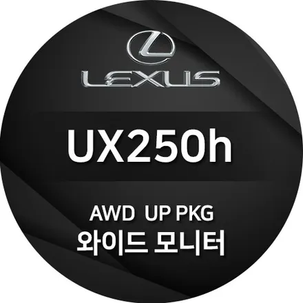 렉서스 UX 250h 와이드모니터 교체  AP UX패키지