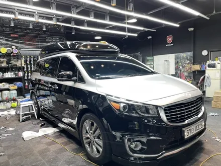 창원랩핑 카니발 투톤랩핑 노블클라쎄 감성으로 변신 / 창원,마산,경남