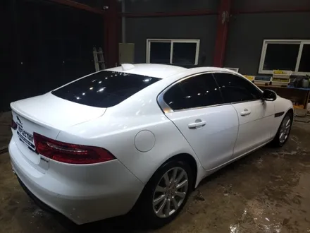 대전 광택 폴리싱 유리믹코팅 / 대전 대덕구 비래동
