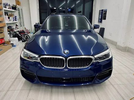 bmw 5 시리즈 후드&앞범퍼 ppf 시공 / 광주 북구 삼각동