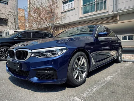 bmw 5 시리즈 후드&앞범퍼 ppf 시공 / 광주 북구 삼각동
