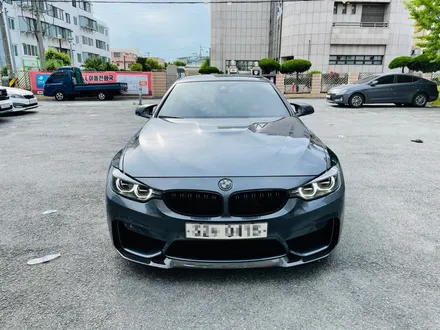 BMW M4 컨버터블 루프스킨&라이트ppf 시공 * 광주 루카드레스 / 광주 북구 삼각동