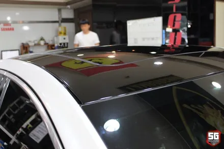 수원 루프스킨 말리부 드레스업! / 수원 영통구 원천동